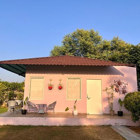 Gazibo Elegant Farm Stay With Swimming Pool Jaipur Exterior foto